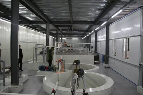 投资200多万，竹溪首家藕粉加工厂带动脱贫致富